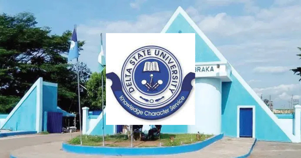 . “From Whispers to Violence: Inside DELSU’s Shocking Hostel Incident”